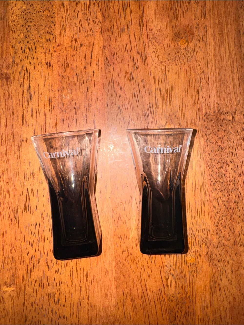 Set of two Carnival Cruise Shot Glasses in Tinted Black/ Smokey Charcoal Gray